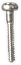 Screws/ Fasteners