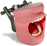 Hygiene /Perio
